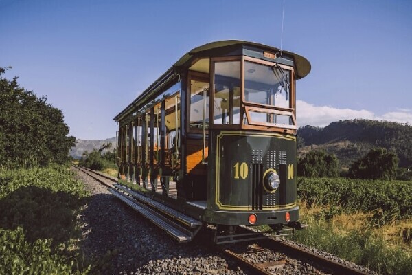 Franschoek Wine Tram