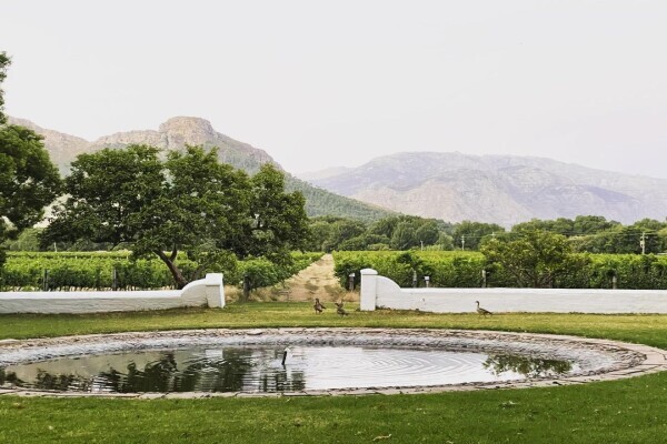 Franschoek Wine Tram