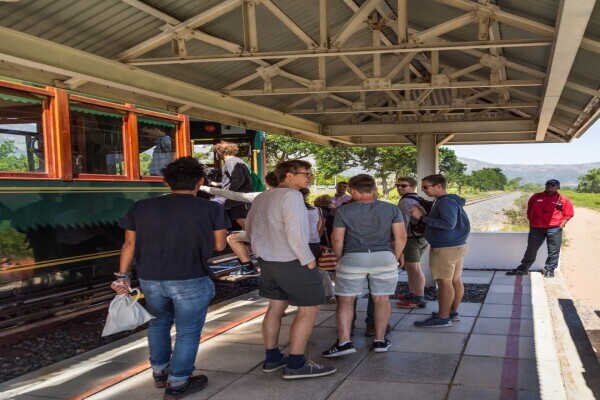 Franschoek Wine Tram