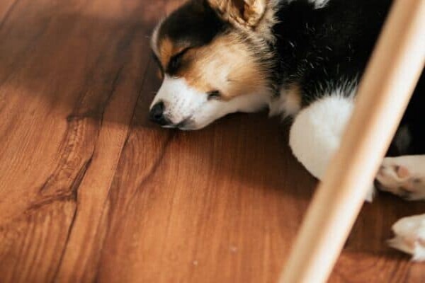 Floors Walls & More - Vinyl Flooring Cape Town