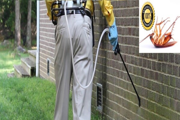 Pest Control Pros - West Coast