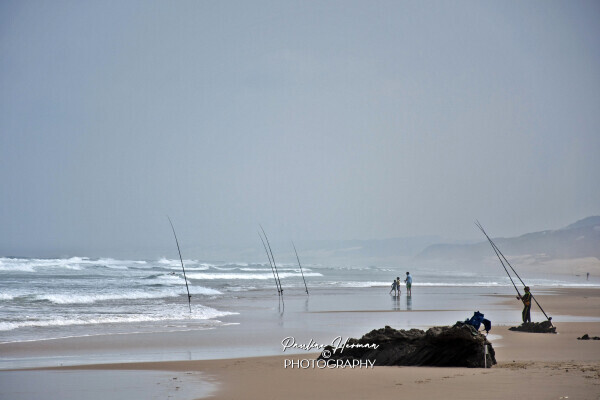 Pauline Herman Photography
