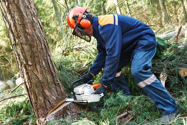 Tree Felling Pros Vanderbijlpark to Vereeniging