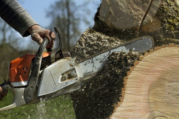 Tree Felling Pros Vanderbijlpark to Vereeniging