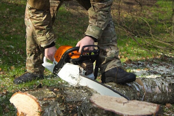 Tree Felling Pros Vanderbijlpark to Vereeniging