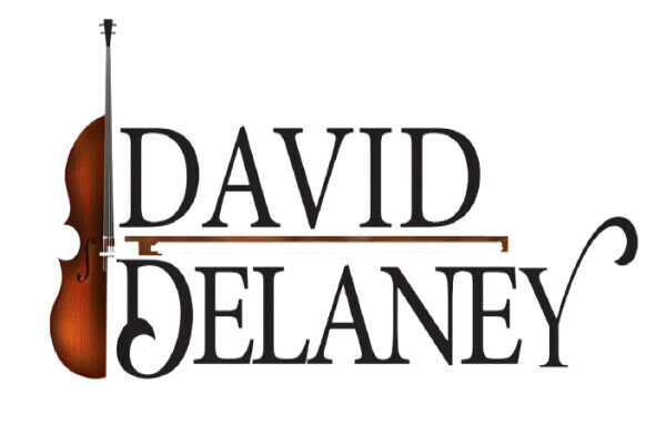 Wedding Violinist - David Delaney