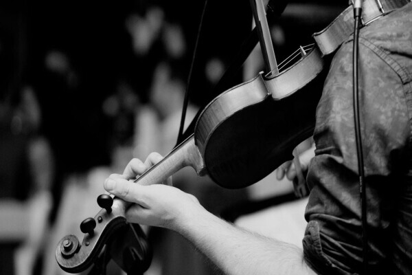 Wedding Violinist - David Delaney