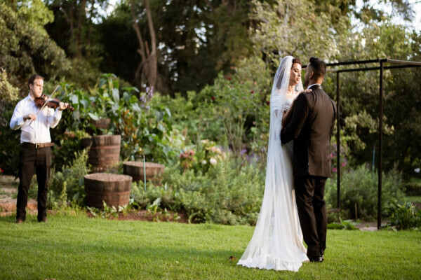 Wedding Violinist - David Delaney
