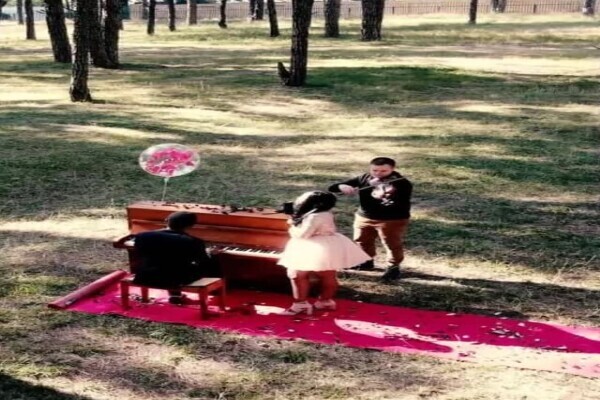 Wedding Violinist - David Delaney