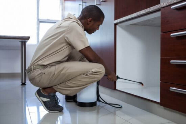 Get Pest Control Durban (Umhlanga to Hillcrest)