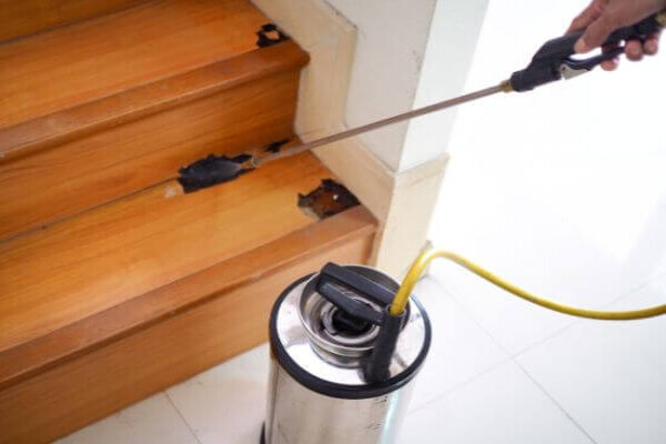 Get Pest Control Sandton