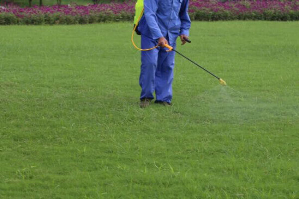 Get Pest Control Sandton