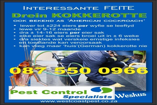 Pest Control Specialists West Coast