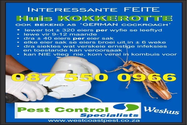Pest Control Specialists West Coast