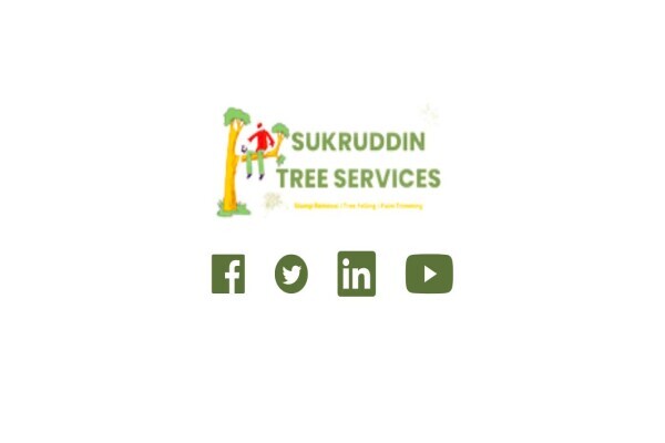 Sukruddin Tree Felling