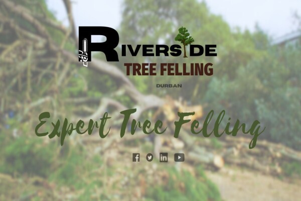 Riverside-Tree Felling