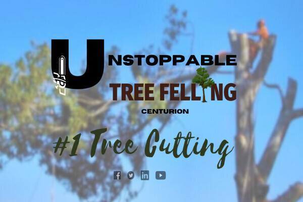 Unstoppable-Tree Felling