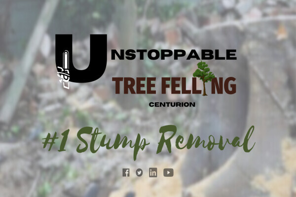 Unstoppable-Tree Felling