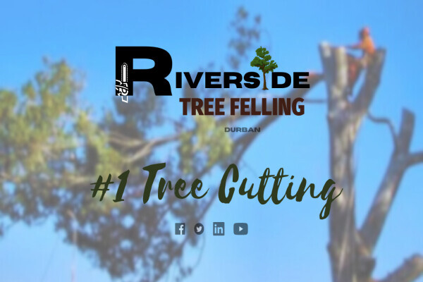 Riverside-Tree Felling