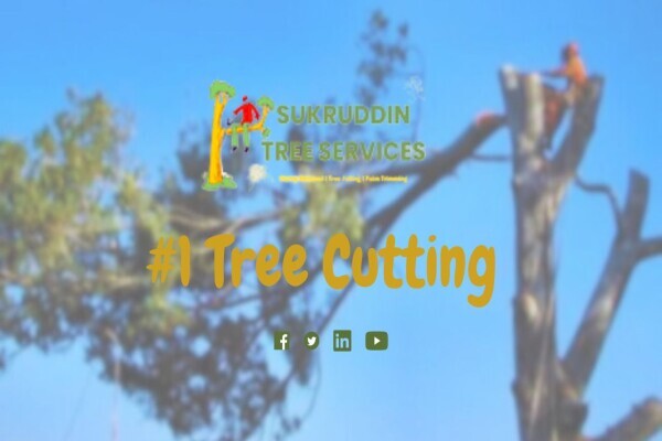 Sukruddin Tree Felling