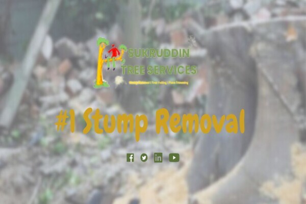 Sukruddin Tree Felling