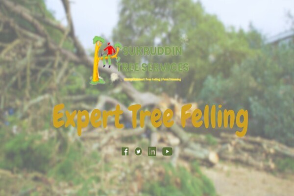 Sukruddin Tree Felling