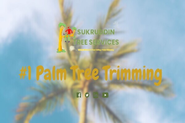 Sukruddin Tree Felling
