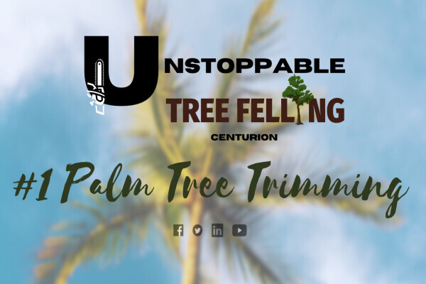 Unstoppable-Tree Felling