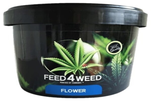 Cafe420