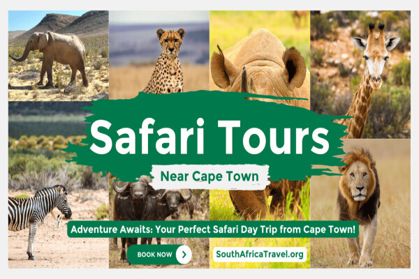 South Africa Travel