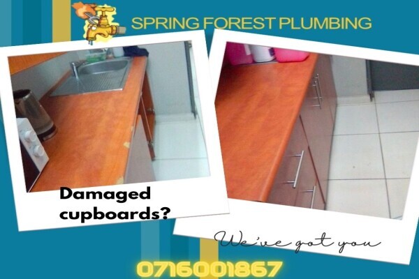Spring Forest Plumbing