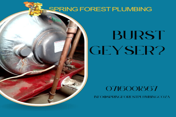 Spring Forest Plumbing