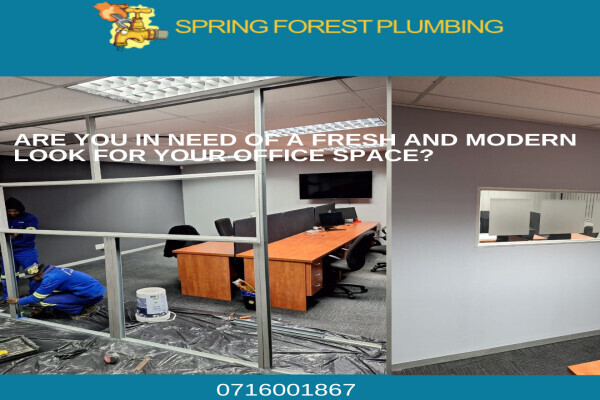Spring Forest Plumbing