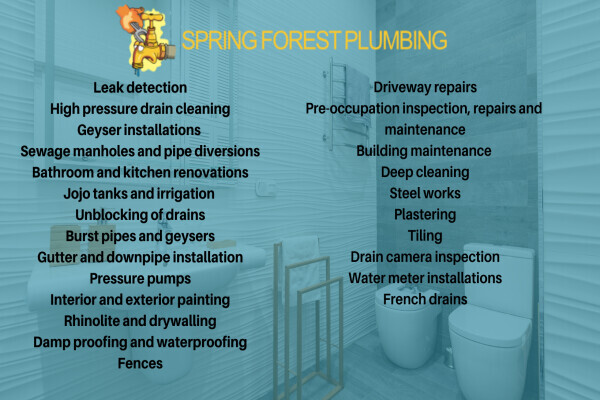 Spring Forest Plumbing