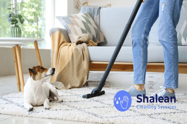 Shalean Cleaning Services