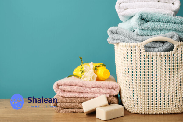 Shalean Cleaning Services