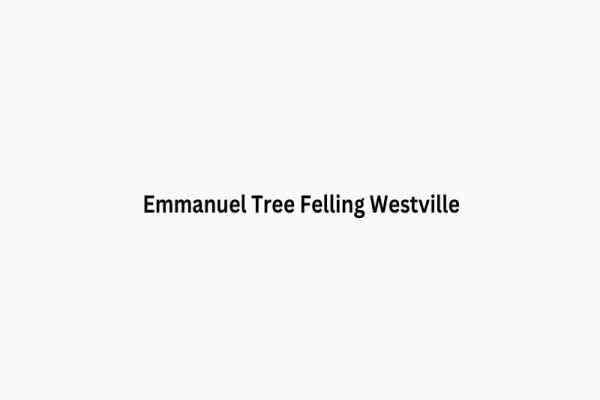 Emmanuel Tree Felling Westville