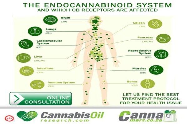 Cannamart