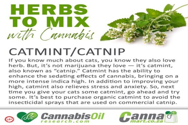 Cannamart