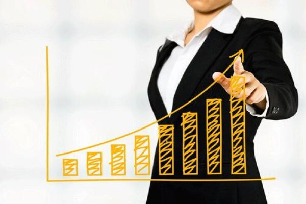 SJS Credit Services