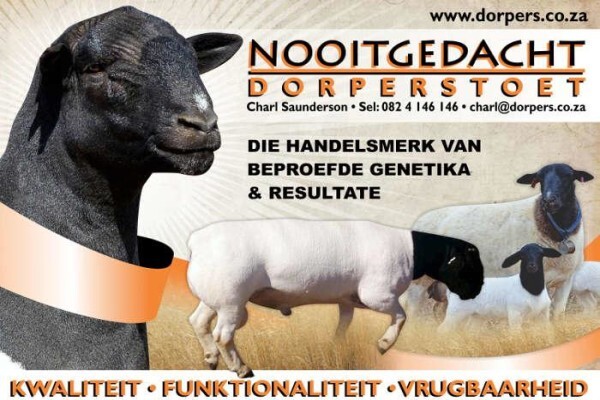 Nooitgedacht Dorperstoet