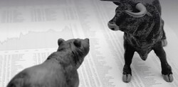 Bluealpha Investment Management (Pty) Ltd