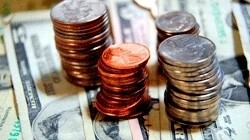 NVSC Financial Services