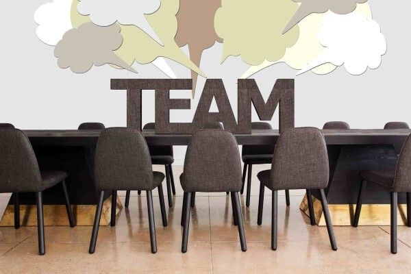 Danshaw Consulting
