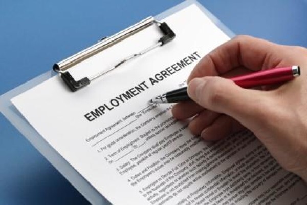 Labour 24 Employment Law