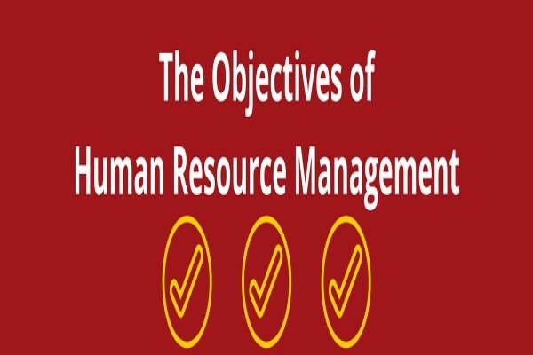 Danshaw Consulting