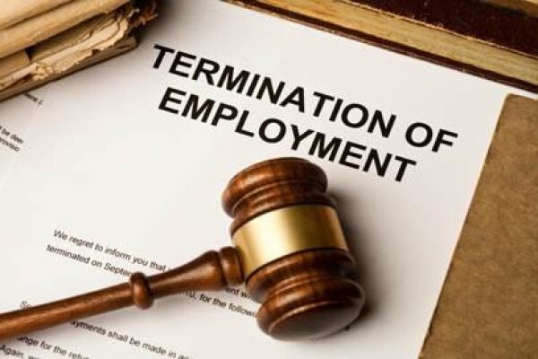 Labour 24 Employment Law