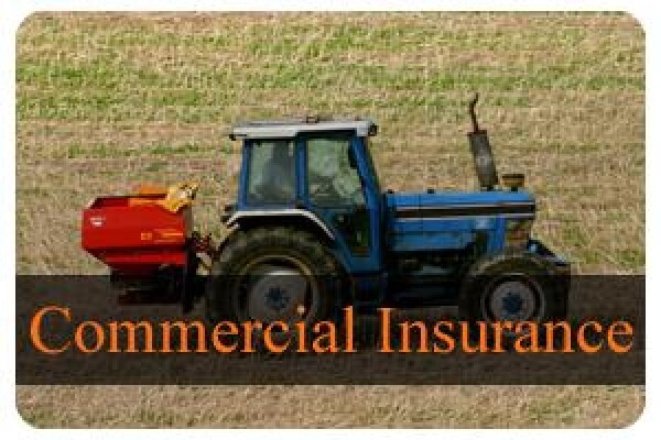 Renthea Smit Brokers