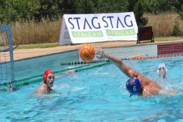Stag