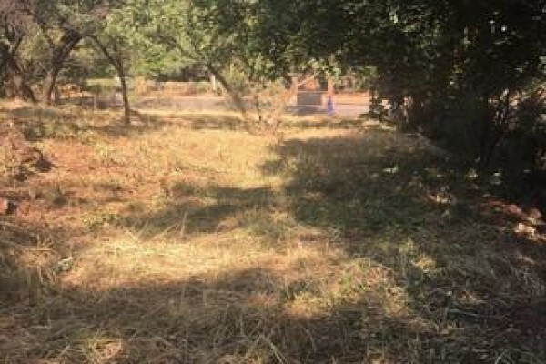 Vision Properties